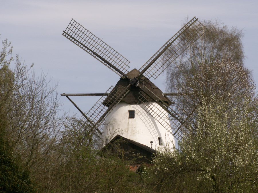Historische Windmühle im Münsterland