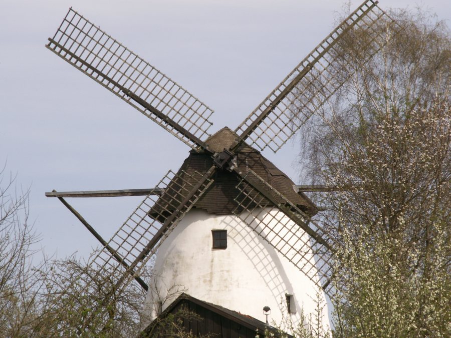 Traditionelle Windmühle im Münsterland
