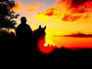 Reiten im Münsterland