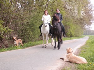 Reiten im Münsterland