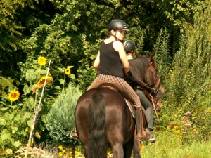 Reitrouten Münsterland