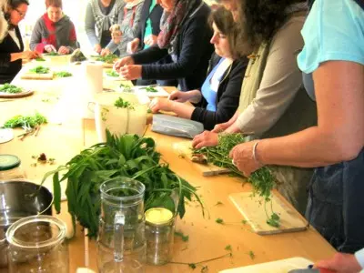 Kochen mit Kräutern