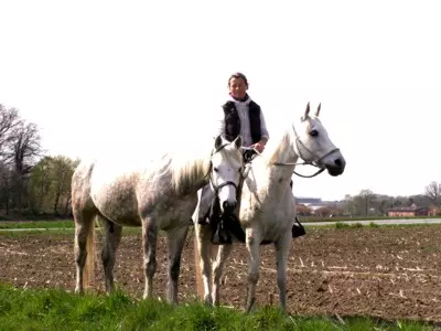 Reiten im Münsterland